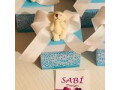 sabi-design-small-10