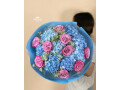 roses-small-8