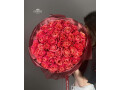 roses-small-0